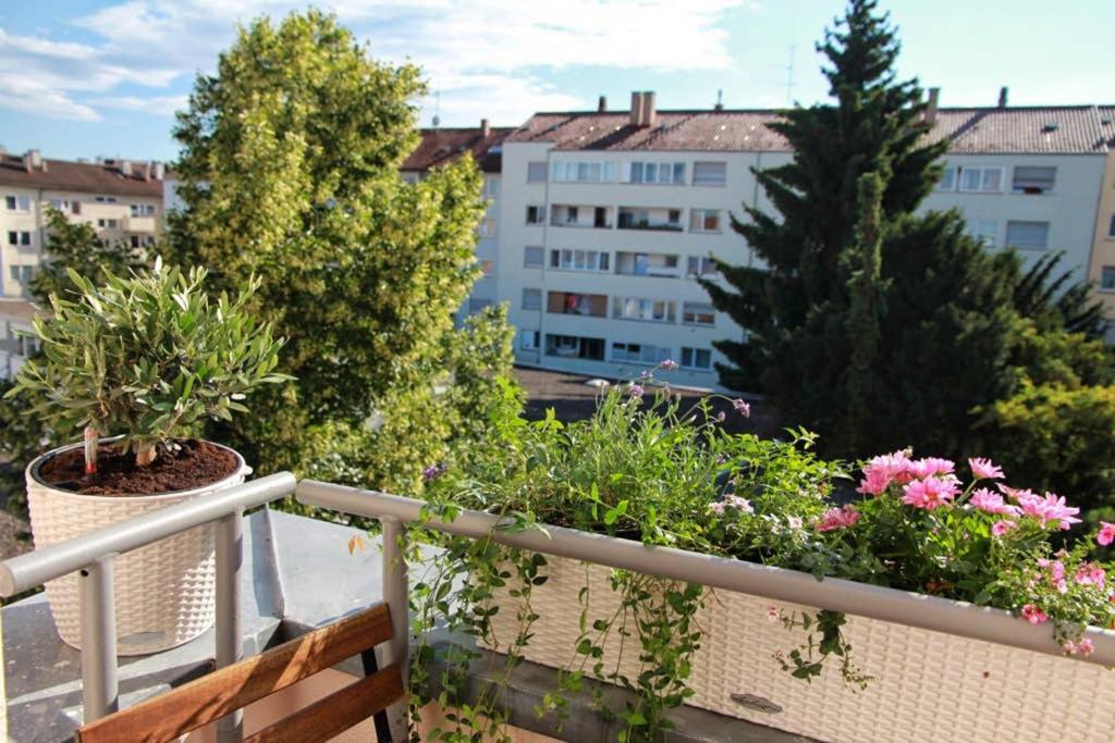 Apartment Ruhige Gemuetliche 2z-whg In S-west